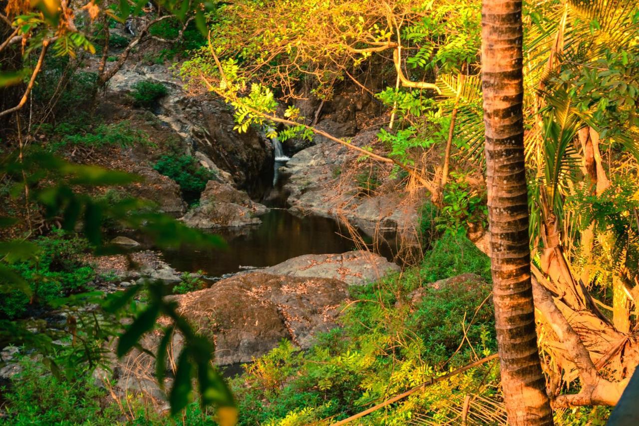 Hotel La Cascada プンタレナス エクステリア 写真